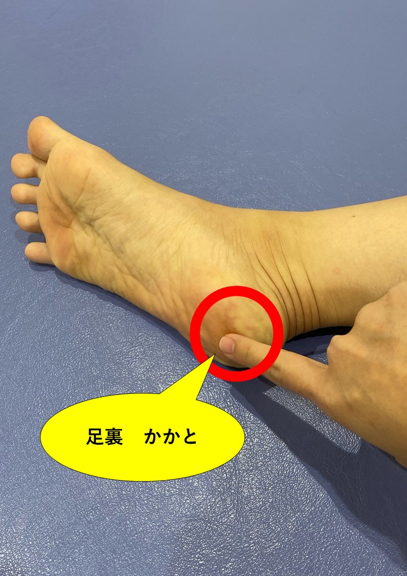 JS　足裏 