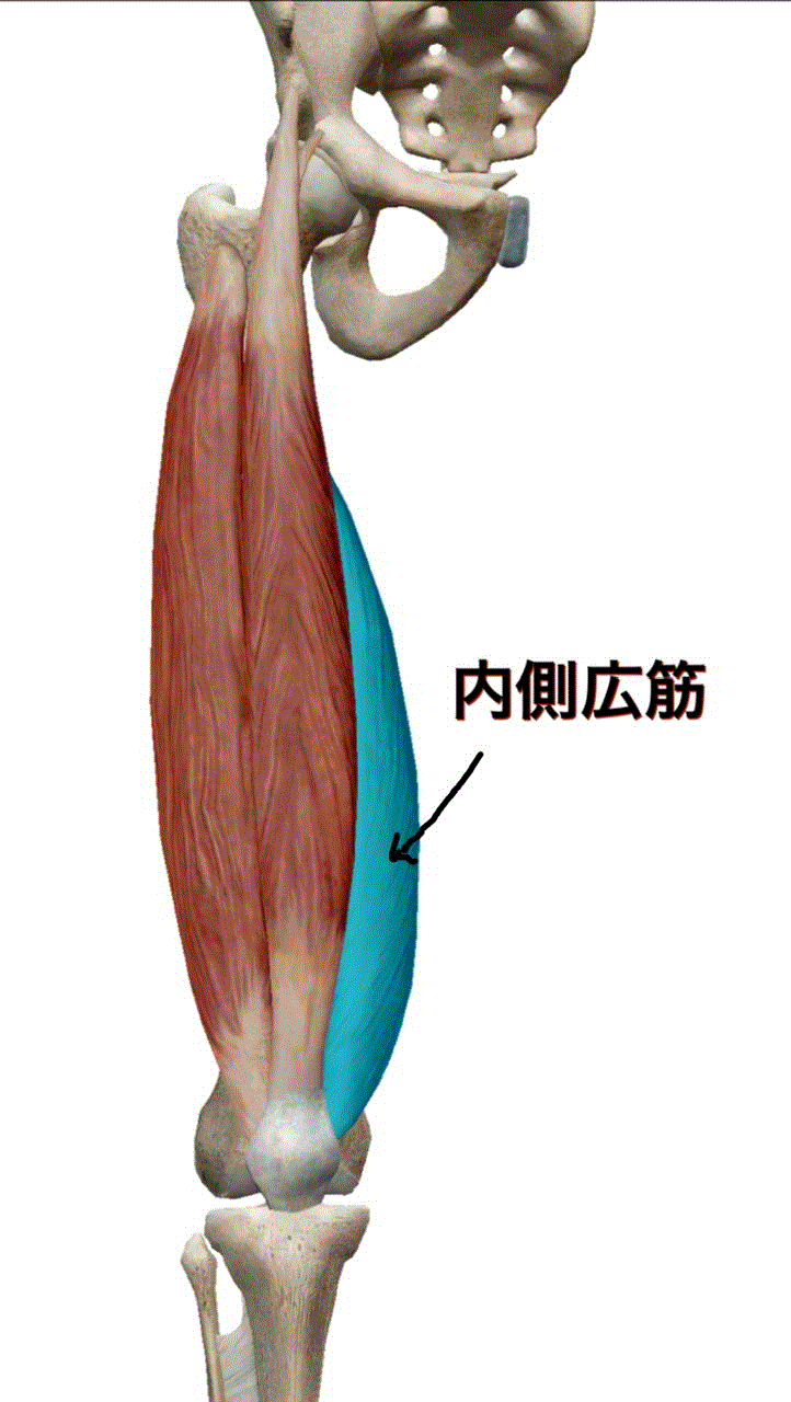 浜松で前十字靭帯損傷後 膝が伸ばしづらい方へ アーチフィジカルケアグループ